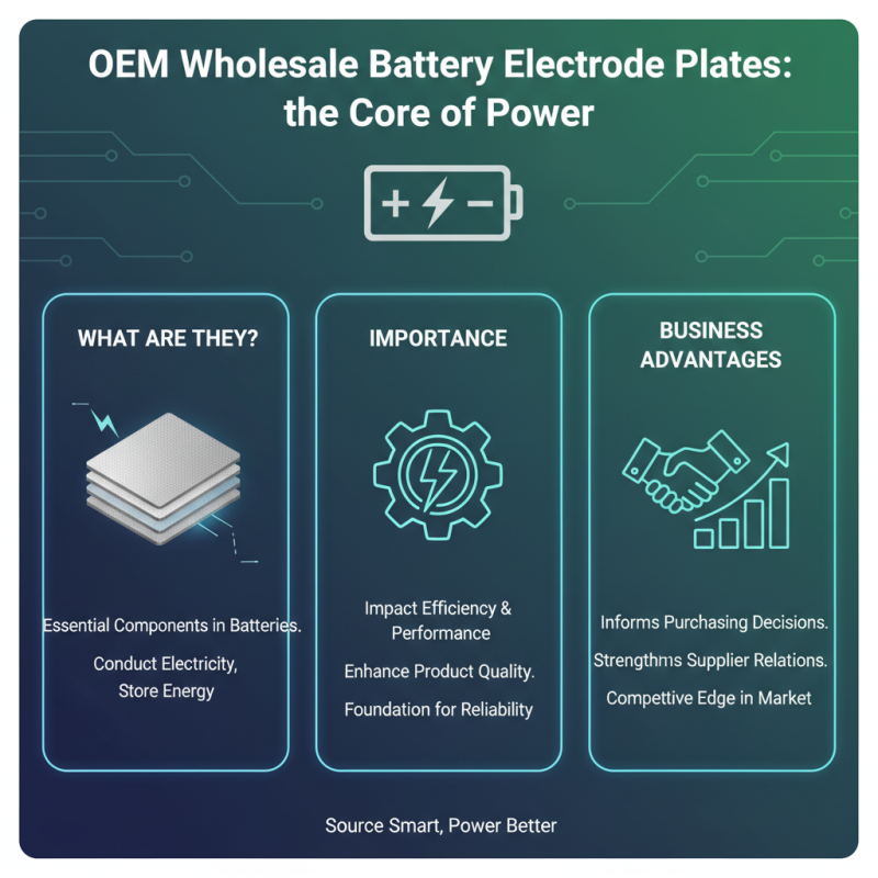 How to Source OEM Wholesale Battery Electrode Plate for Your Business?