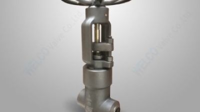 PSB forged steel gate valve.jpg