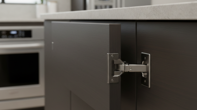 What Is A Hidden Cabinet Hinge and Why Is It Useful?