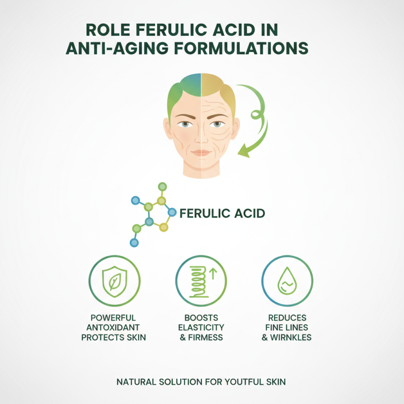 Top Uses of Ferulic Acid in 2026 for Global Buyers?