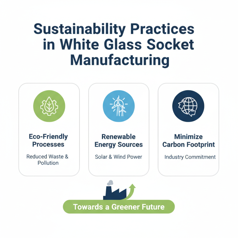Top 10 White Glass Sockets Factories in China What to Know
