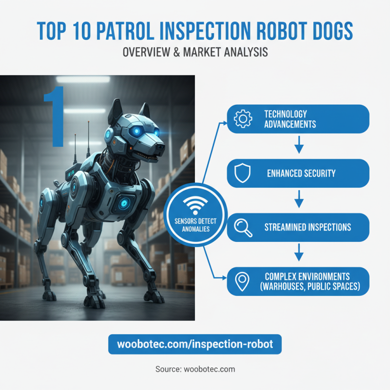 Top 10 Patrol Inspection Robot Dogs You Should Know About?