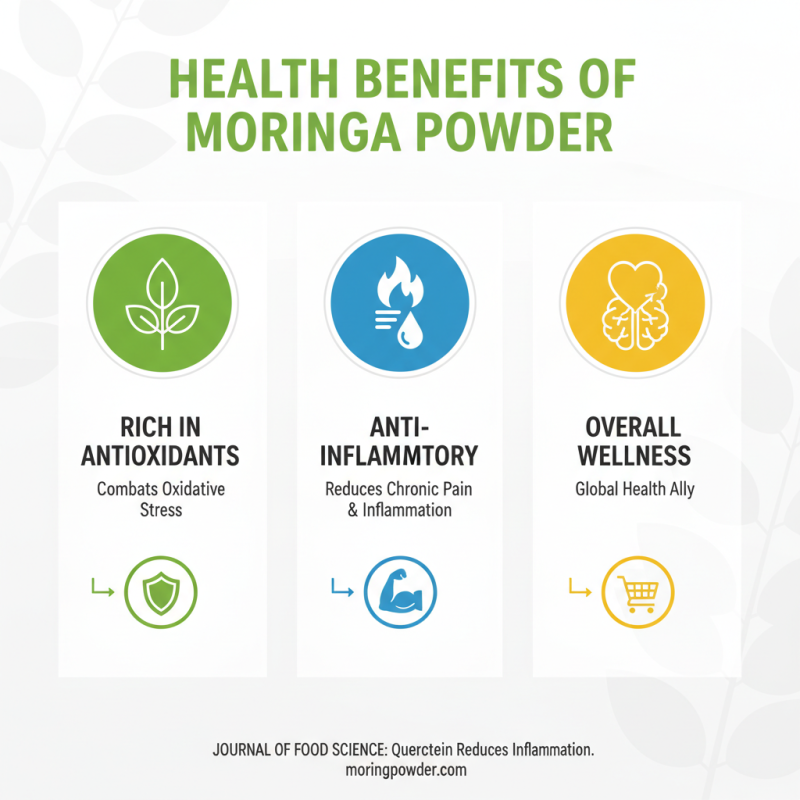 What is Powder Moringa Benefits for Global Buyers?