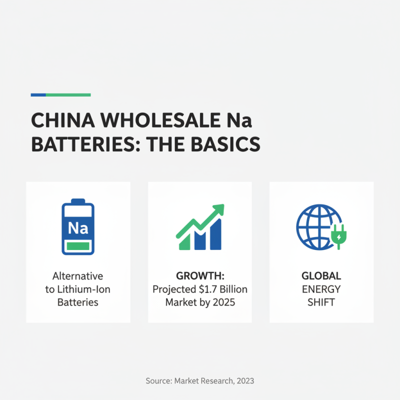 Why Choose China Wholesale Na Battery for Your Energy Solutions?