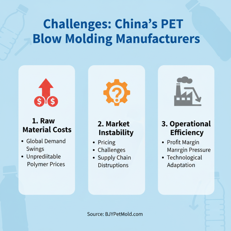 Top 10 Pet Blow Molding Manufacturers in China 2026?
