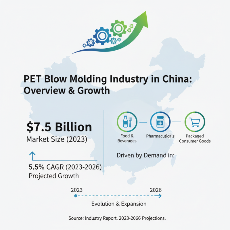 Top 10 Pet Blow Molding Manufacturers in China 2026?