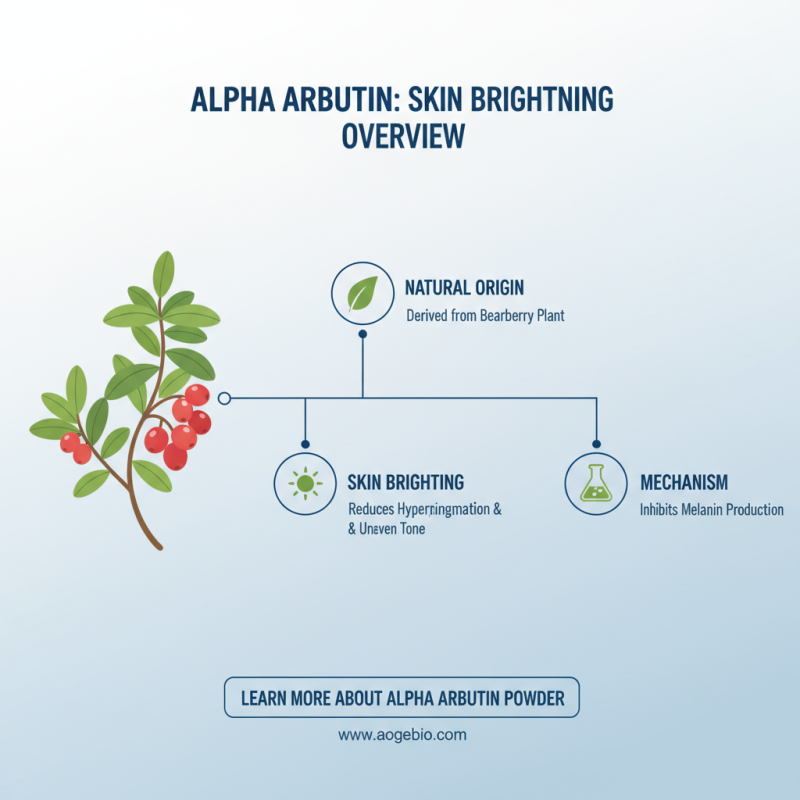 Can Alpha Arbutin Be Used On Your Lips Safely?