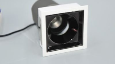 CNJ_5138 .jpg