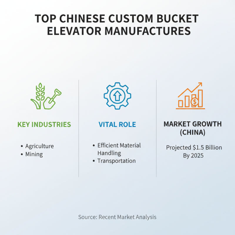 Discover the Best High-Quality Custom Bucket Elevator Options in China?