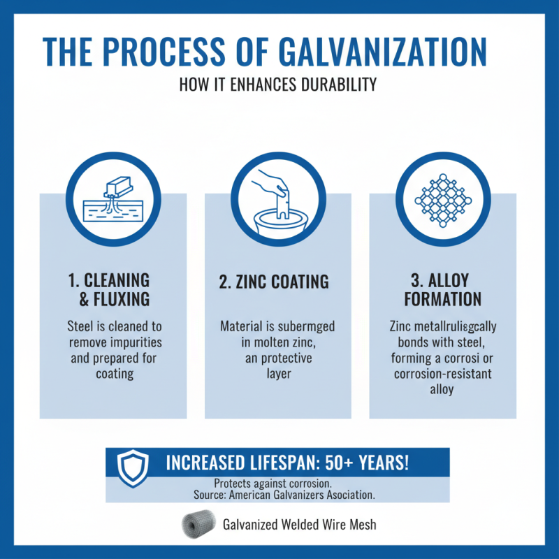 Top 10 Benefits of Galvanized Mesh for Global Buyers?