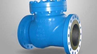 API 6D swing check valve.jpg