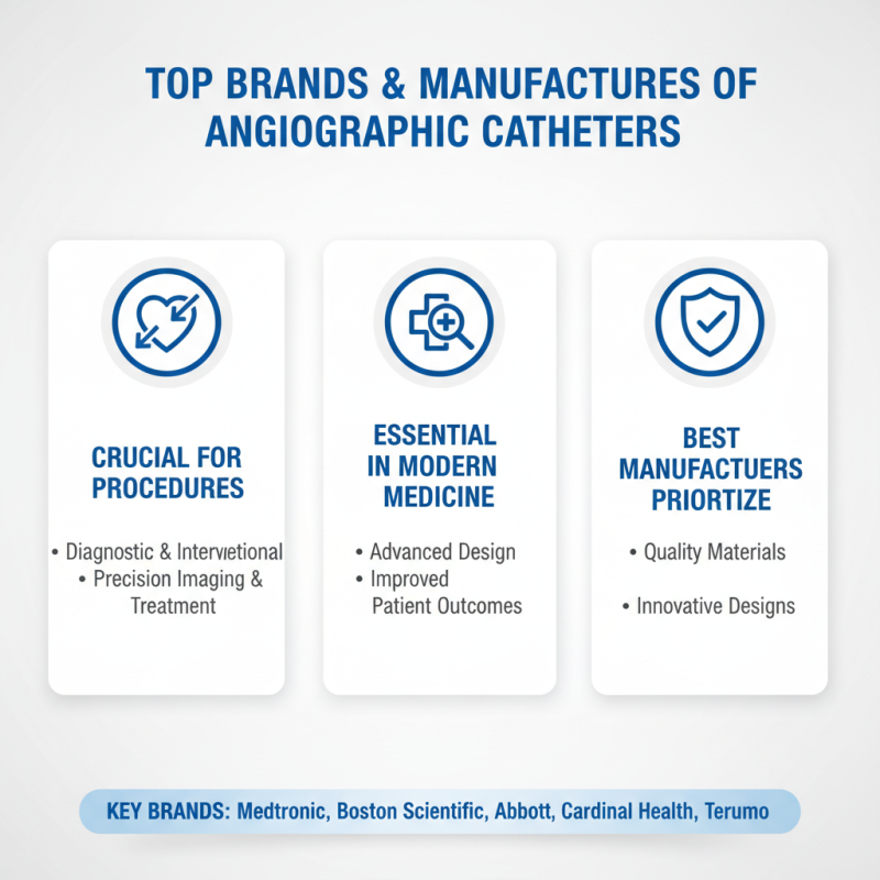 2026 Best Angiographic Catheters for Global Buyers?