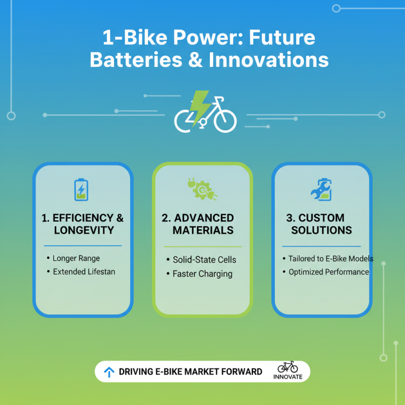 Why Choose Custom China Electric Bike Battery Suppliers for Your Business Needs?