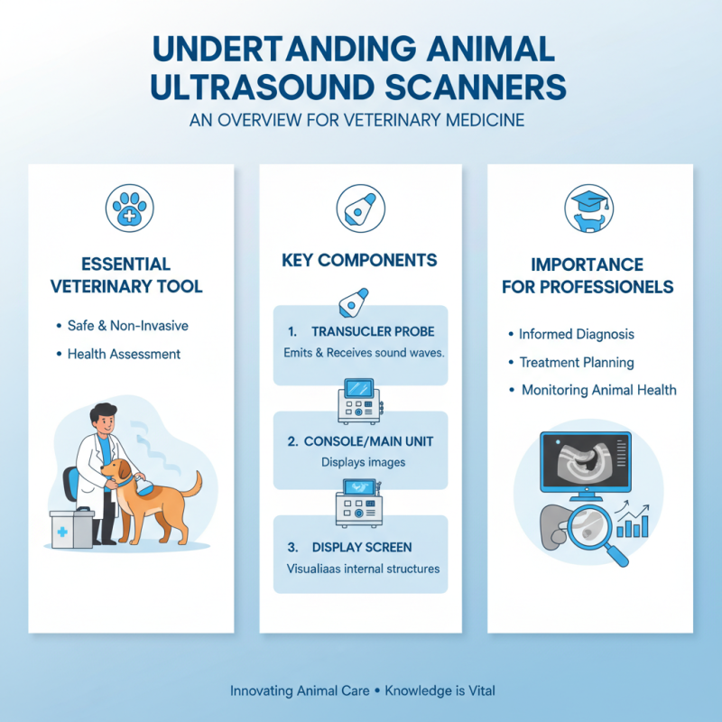 How to Choose the Best Animal Ultrasound Scanner for Your Needs?