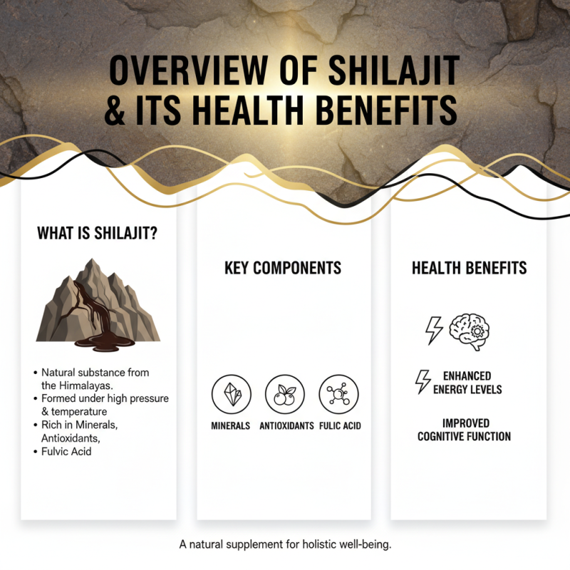 Why is Best Buy Shilajit Extract Product Considered the Top Choice?