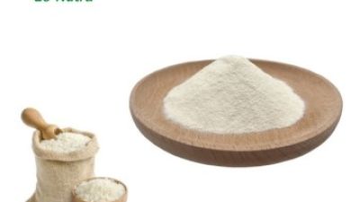 Hydrolyzed Rice Protein.jpg