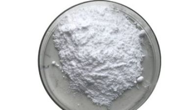 L-Theanine 1.jpg