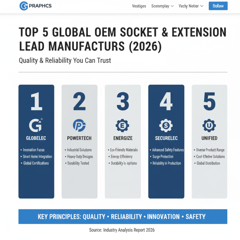 2026 Best OEM High-Quality Socket and Extension Lead Supplier Guide?