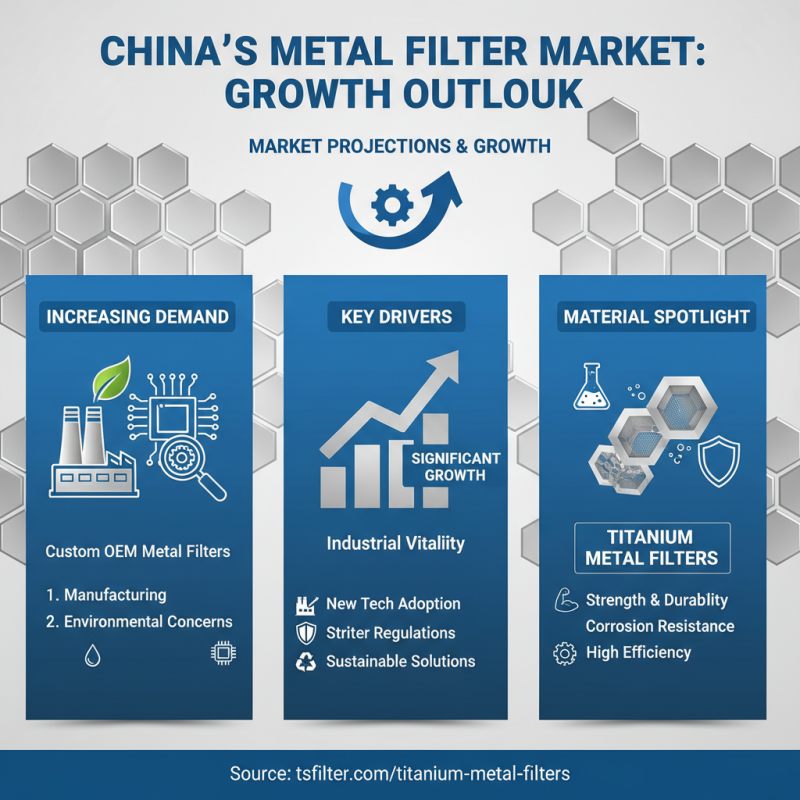 Discover the Top Custom OEM Metal Filters Manufacturers in China?