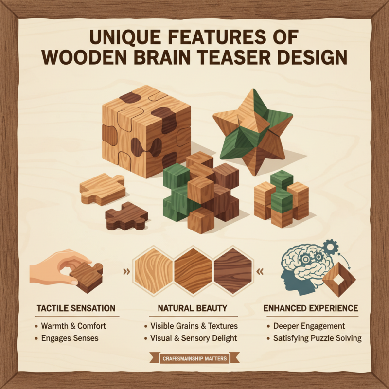 Why Choose Custom OEM Wooden Mechanical Brain Teaser for Your Puzzle Collection?
