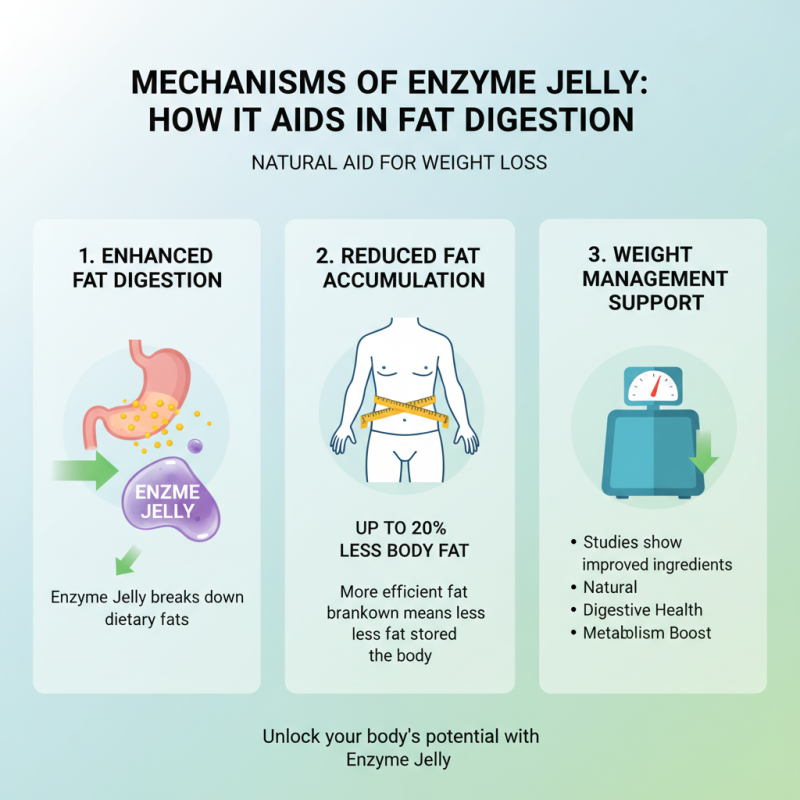 Discover How Enzyme Jelly Can Boost Weight Loss Results?