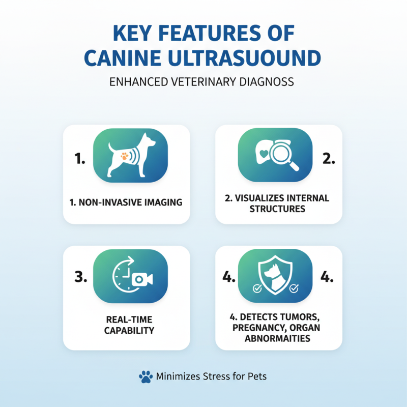 Canine Ultrasound Machine Benefits for Global Buyers?