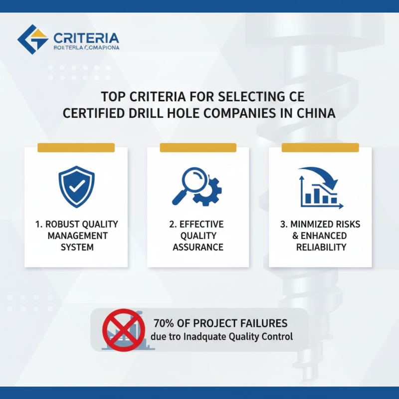 China Best Custom CE Certification Drill Hole Companies Overview?