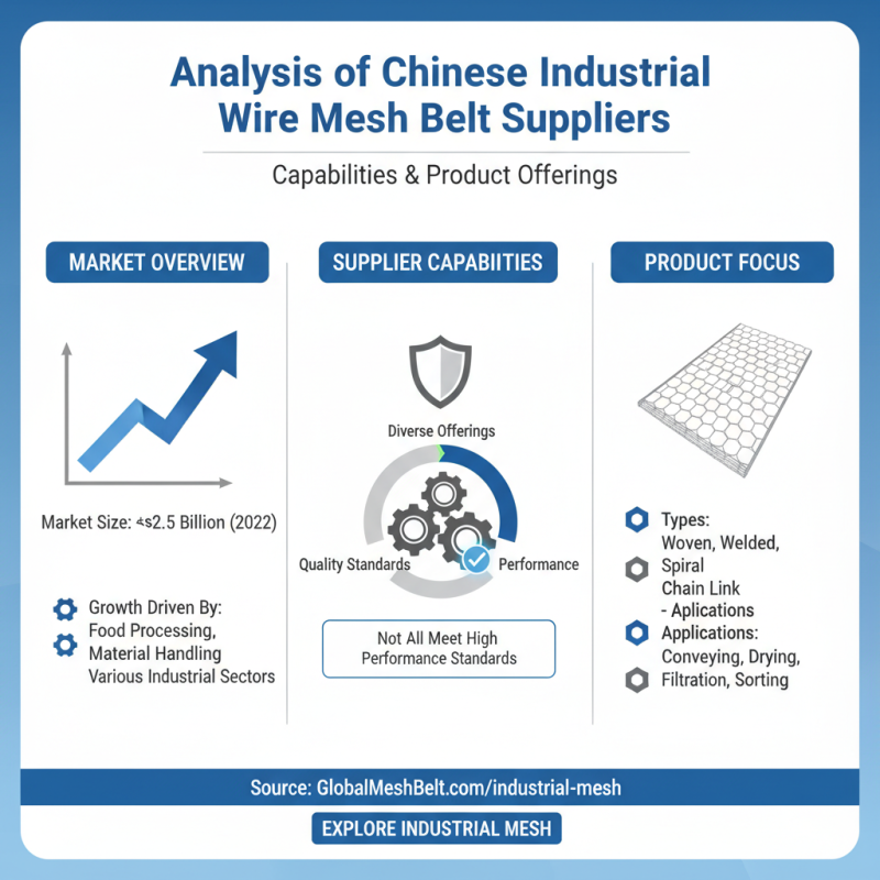 China Top Industrial Wire Mesh Belt Suppliers for Your Needs?