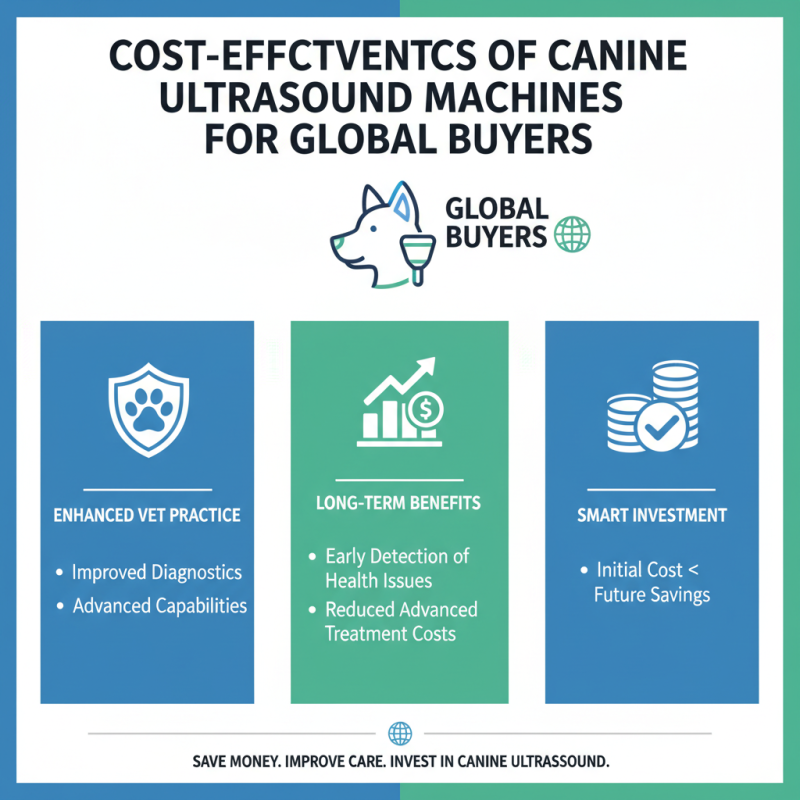 Canine Ultrasound Machine Benefits for Global Buyers?