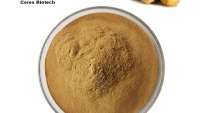 Maca Extract Powder.jpg