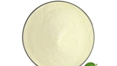 lemon Powder 1_副本.jpg