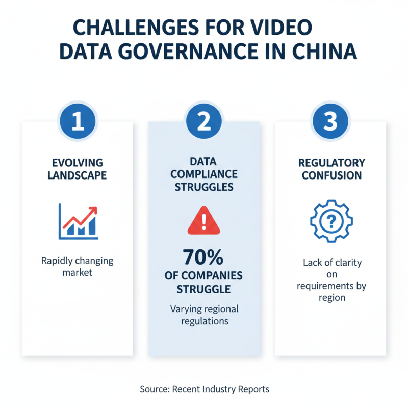China Top 10 Custom Video Data Governance Companies to Watch?