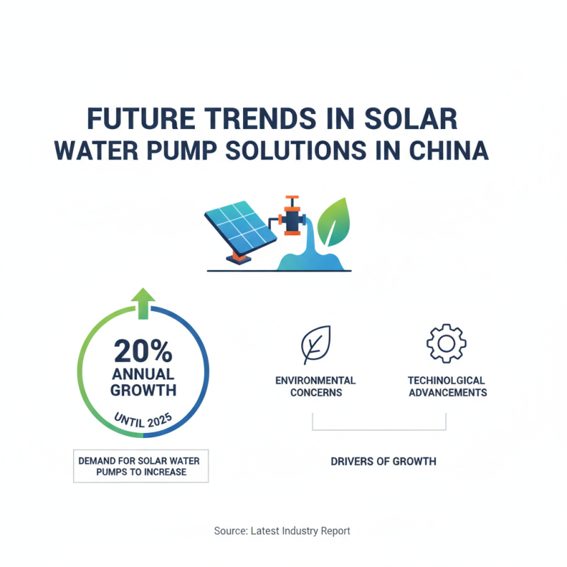 China Top OEM High-Quality Solar Water Pump Supplier for Sustainable Solutions?