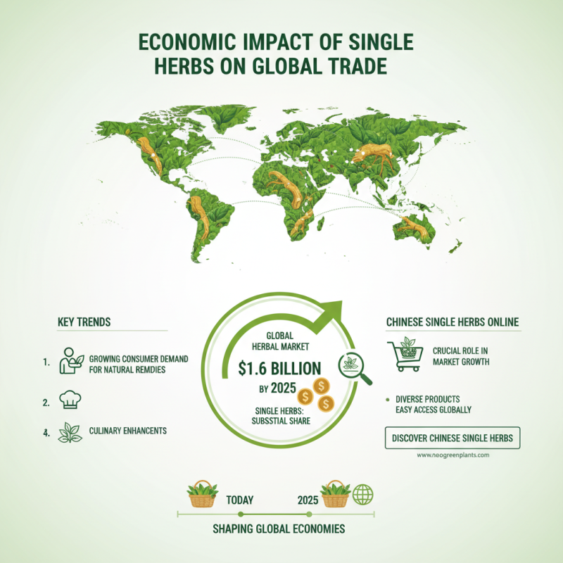 Why Single Herbs Are Essential for Global Buyers?