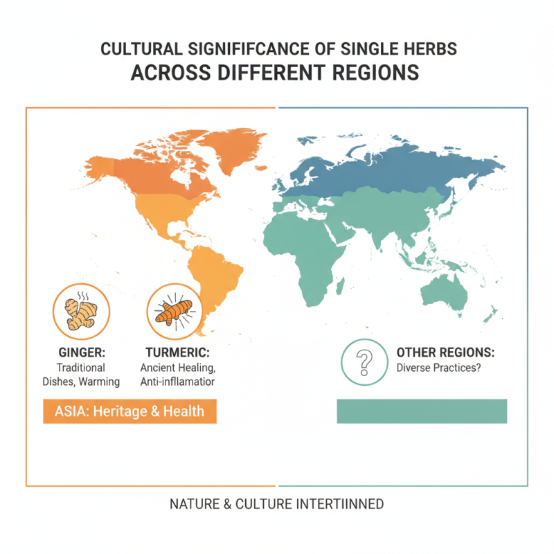 Why Single Herbs Are Essential for Global Buyers?