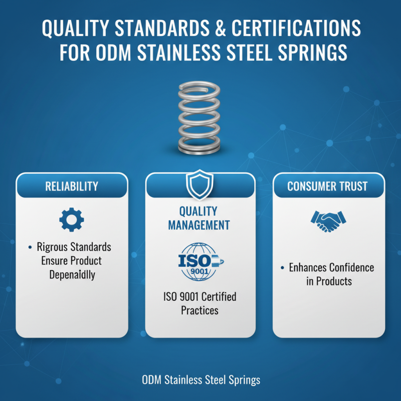 China Top Wholesale ODM Stainless Steel Spring Products and Their Applications?