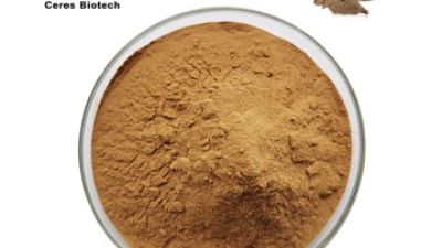 Gallnut Extract.jpg