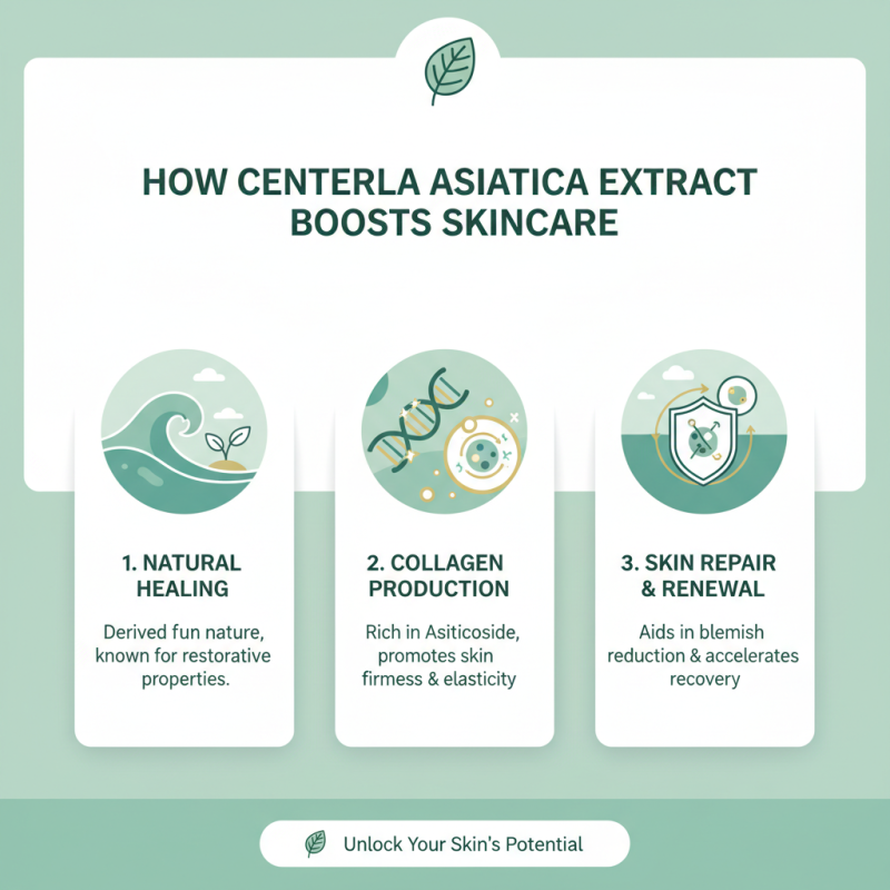 Why Choose Centella Asiatica Extract for Your Products?