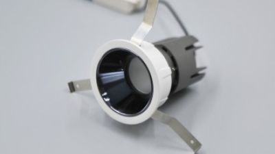 CNJ_5113 .jpg