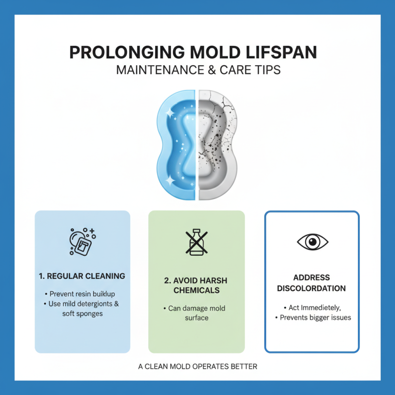 How to Choose the Right Plastic Molds for Your Production Needs?