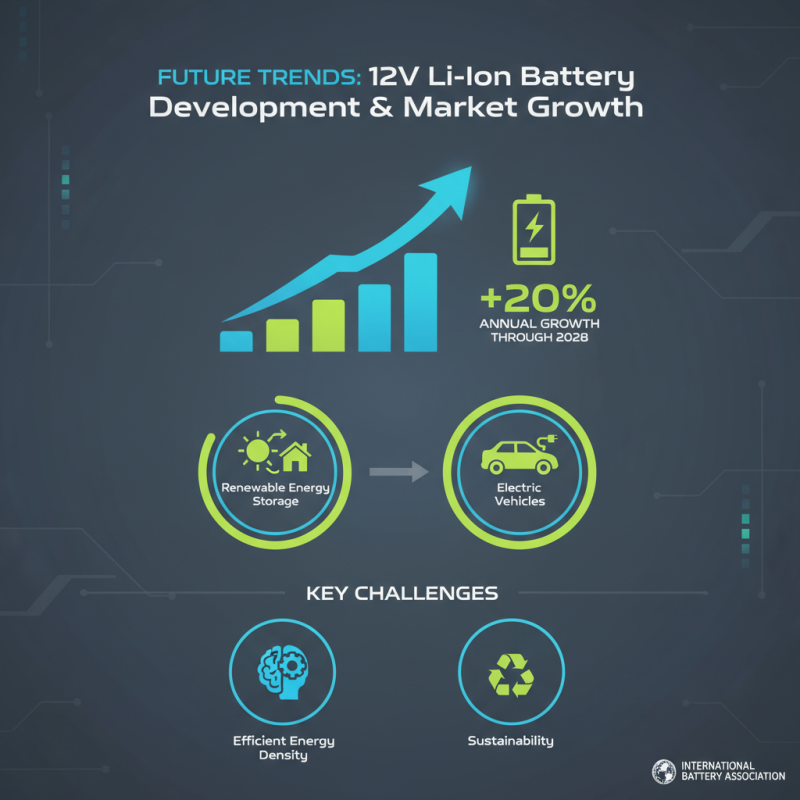 Best 12v Li Ion Battery Options for Global Buyers?