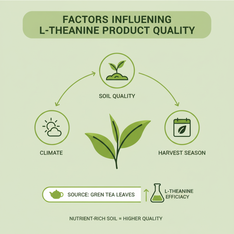 2026 Best L Theanine Kaina for Global Buyers Guide?