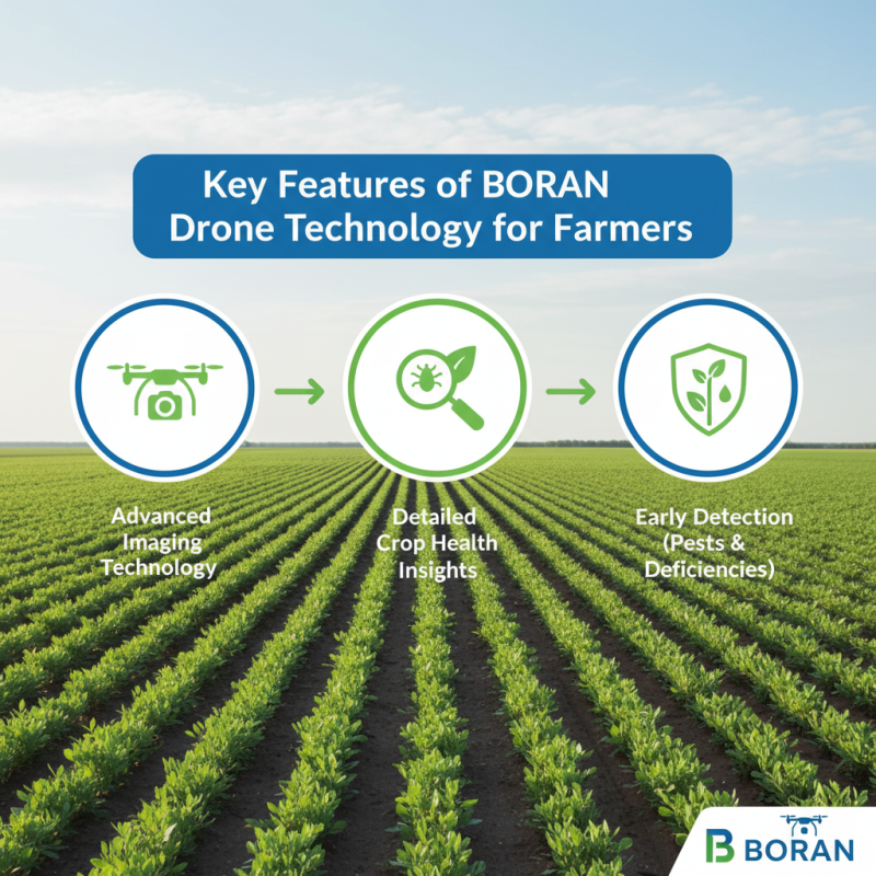Why Choose BORAN Custom Agriculture Drone Technology for Modern Farming?