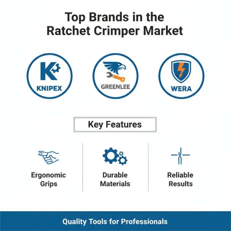 Top 10 Ratchet Crimpers Buyers Should Know About?