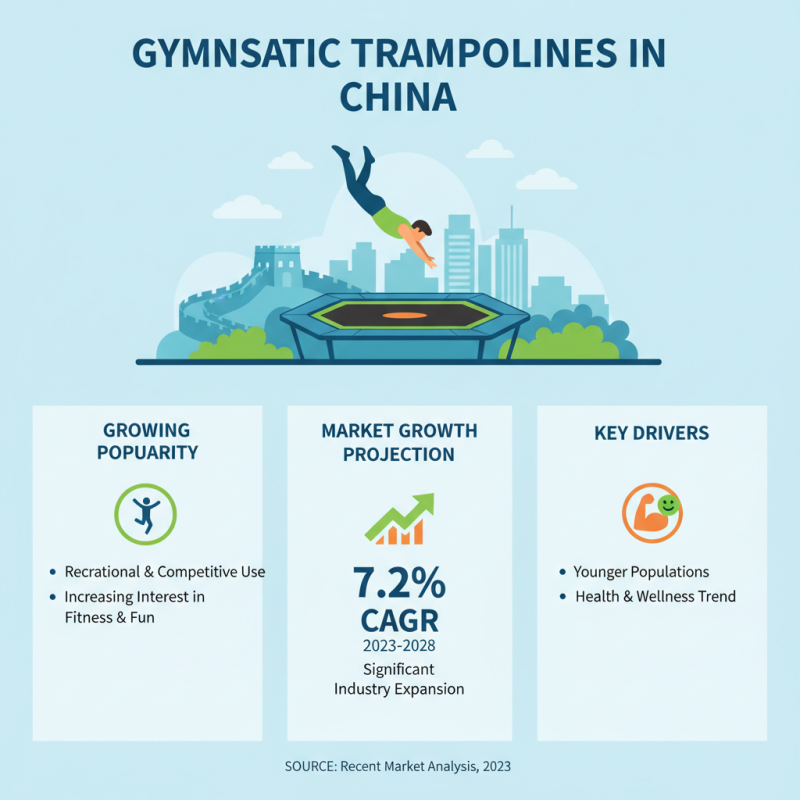 China Best Wholesale Custom Gymnastic Trampoline Service for Maximum Fun?