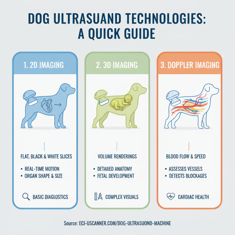 2026 Top Ultrasound Machine for Dogs What to Consider?