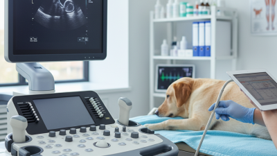 2026 Top Ultrasound Machine for Dogs What to Consider?