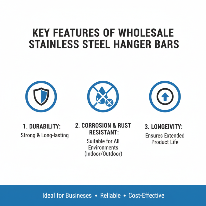 China Top Wholesale OEM Stainless Steel Hanger Bar Options Available?