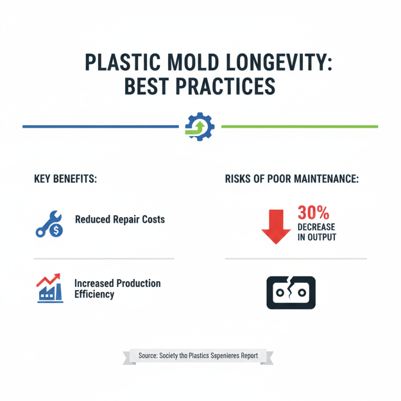 How to Choose the Best Plastic Molds for Your Business?
