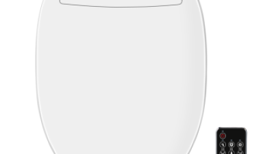 smart toilet bidet 1.png